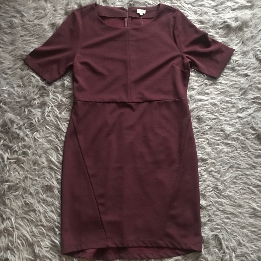 🚨 FINAL SALE!! Brand New Cremieux Dress!